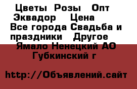 Цветы. Розы.  Опт.  Эквадор. › Цена ­ 50 - Все города Свадьба и праздники » Другое   . Ямало-Ненецкий АО,Губкинский г.